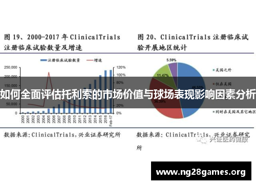 如何全面评估托利索的市场价值与球场表现影响因素分析 如何全面评估托利索的市场价值与球场表现影响因素分析
