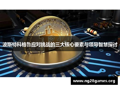 波斯特科格鲁应对挑战的三大核心要素与领导智慧探讨